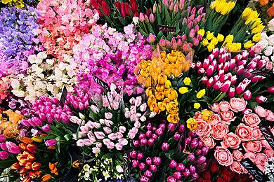 《小丑2：双重妄想》中文主角海报 10月16日全国上映